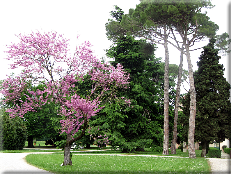 foto Parco di Villa Emo